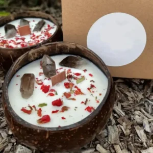 Handmade Soy Wax Coconut Shell Candle