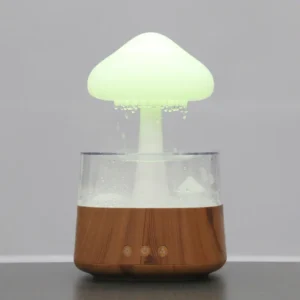 Rain Cloud Led Night Light Humidifier