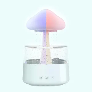 Rain Cloud Led Humidifier with Night Light