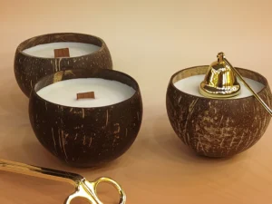 Eco-friendly Coconut Bowl Candle