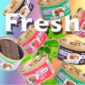 Organic Wood Car Air Freshener
