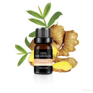 Ginger Essential Oil for Aromatherapy