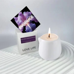 Handmade Soy Wax Aromatherapy Candles