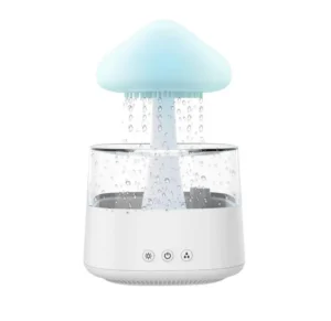 Rain Cloud Aromatherapy Humidifier with Led Lights