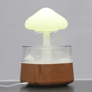 Rain Cloud Led Humidifier with Aromatherapy